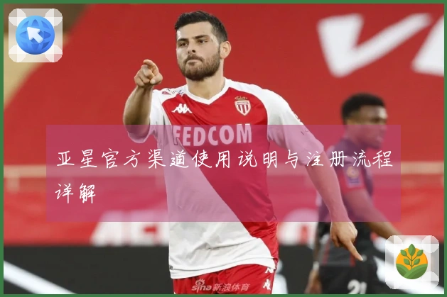 亚星官方渠道使用说明与注册流程详解