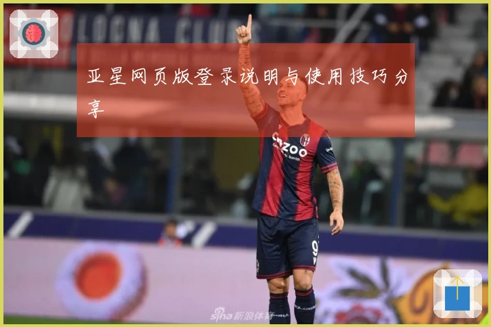 亚星网页版登录说明与使用技巧分享